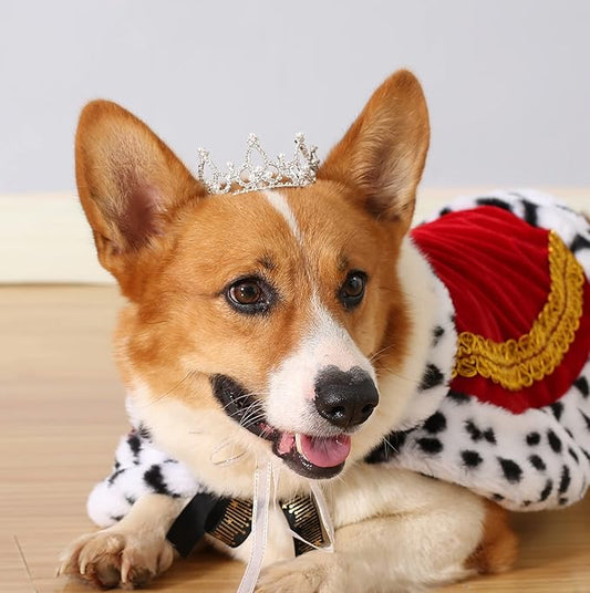 Lovelyshop Pet Series Silver Plated Royal Rhinestone Pearl Full Round Dog/Cat Crown for Rolyal Family Costume Hair Accessories-Medium Size