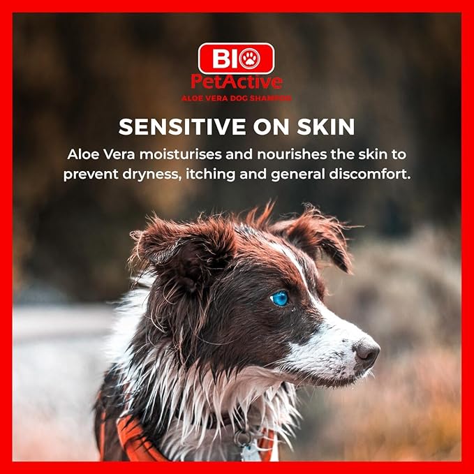 Bio PetActive Aloe Vera Extract Shampoo for Dogs - Cleansing & Moisturizing Care for Sensitive and Normal Skin, Paraben Free, pH Balanced + Natural Ingredients - 13.53 Fl oz