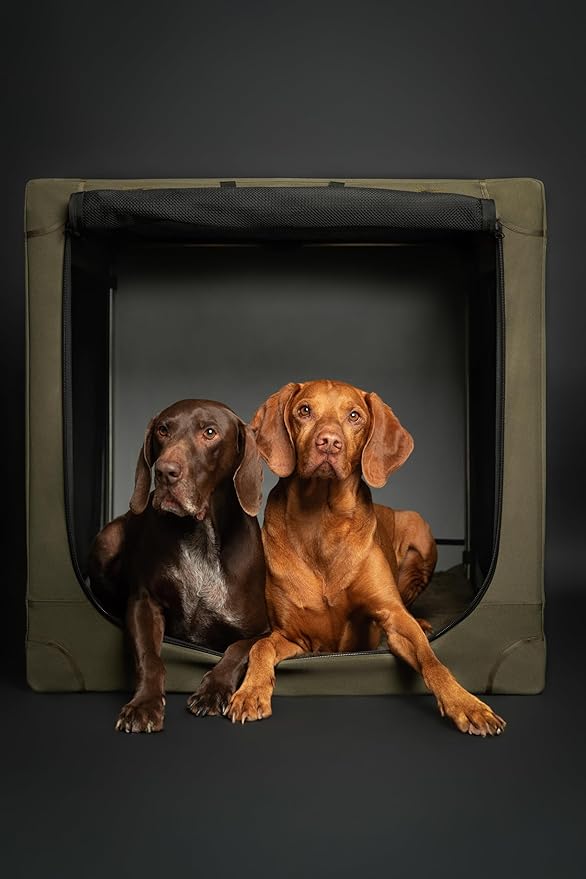 Noah & Paw Collapsible Dog Crate 36 Inches, XL Dog Crate for XL, Large Medium Breed, Travel Kennel for Car, Includes Pet Mat for Pet Cage, 2 Storage Pockets, Handbag, 10mm Locking Zippers 36*25*23