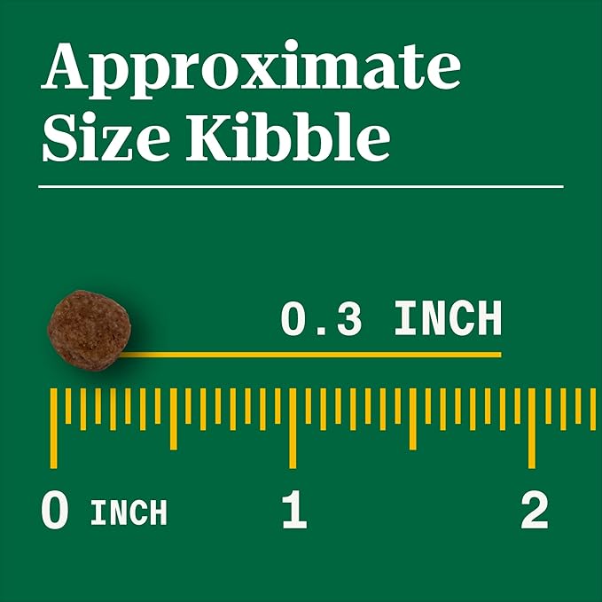 NUTRO NATURAL CHOICE Small Bites Adult Dry Dog Food, Lamb & Brown Rice Recipe Dog Kibble, 5 lb. Bag