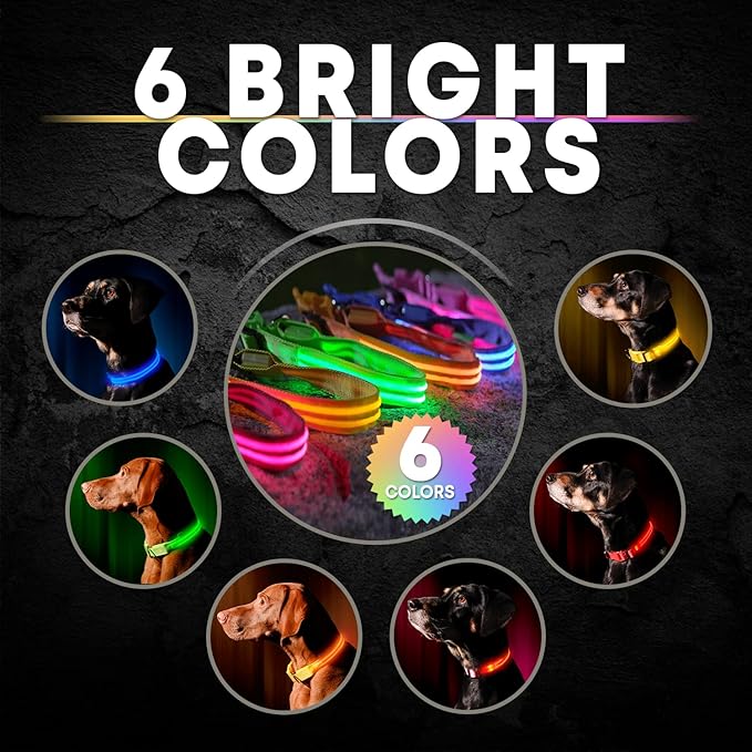 ILLUMISEEN LED Dog Collar USB Rechargeable - Bright & High Visibility Lighted Glow Collar for Pet Night Walking - Weatherproof, in 6 Colors & 6 Sizes (Orange Small)