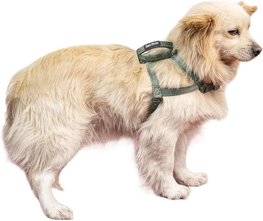 SATSUN Dog Harness Small Sized Dog, No Pull Dog Harness with 2 Adjustable Points & 1 Leash Clip, Reflective Comfortable Dog Vest with Easy Control Handle Ideal for Walking and Training, Army Green,XS