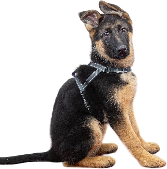 SATSUN Dog Harness Medium Sized Dog, No Pull Dog Harness with 2 Adjustable Points & 1 Leash Clip, Reflective Comfortable Dog Vest with Easy Control Handle Ideal for Walking and Training, Navy,M