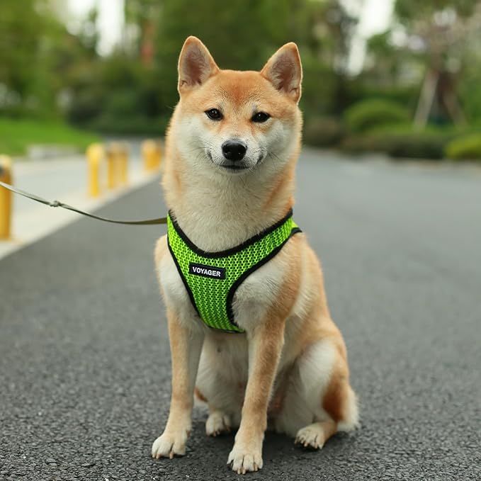 Voyager Step-in Air Dog Harness - All Weather Mesh, Reflective, No Pull Harness for Small, Medium Dogs, Cats - Secure with Hook & Loop Fastener, Buckle, Double D-Rings - Lime Green 2-Tone, XS