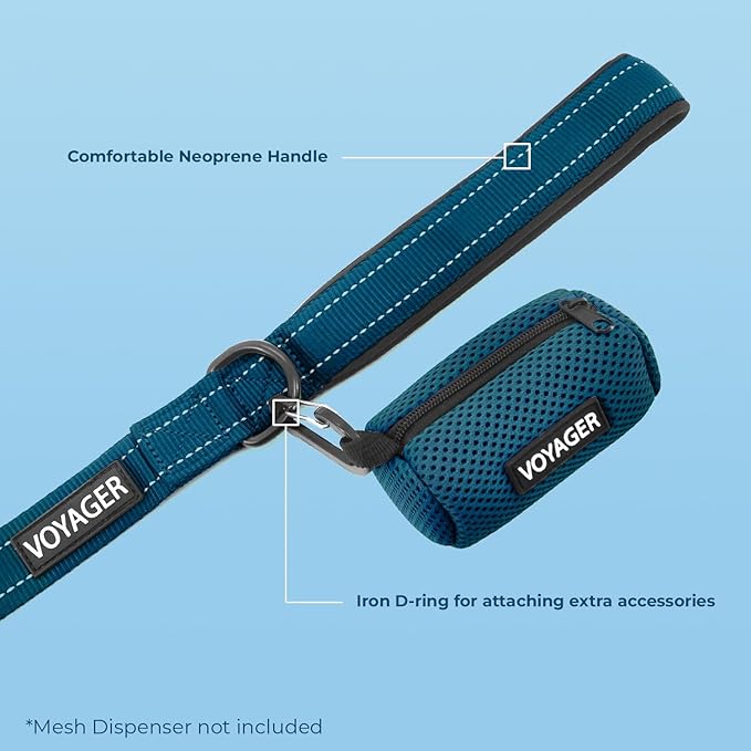 Voyager Reflective Dog Leash Collar Set with Neoprene Handle Supports Small, Medium, and Large Breed Puppies, Cute and Heavy Duty for Walking, Running, and Training - Blue, S