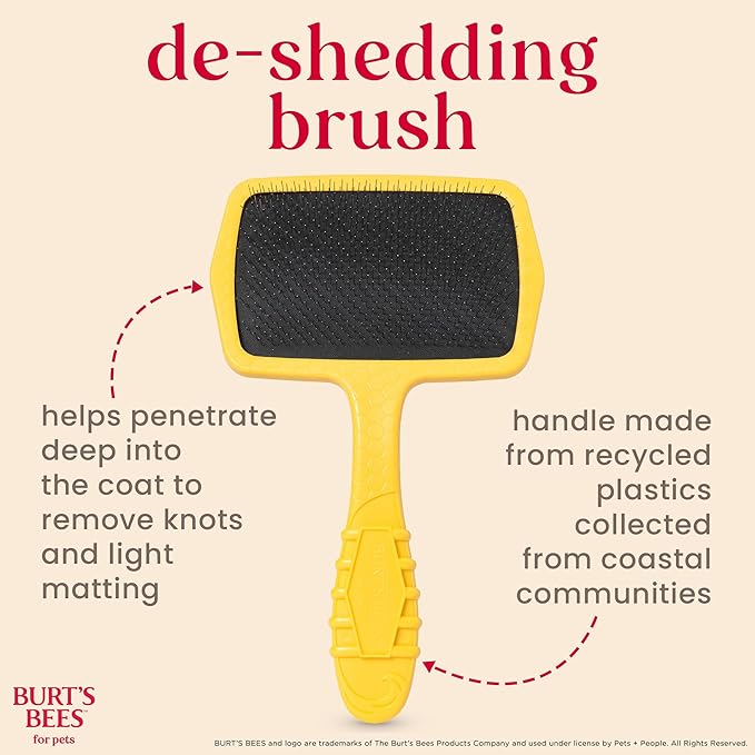 Burt’s Bees for Pets Large Slicker Brush for Dogs with Thick or Curly Hair with Handle Made from Recycled Plastics Collected from Coastal Communities | De-Shedding Dog Brush Removes Knots and Matting