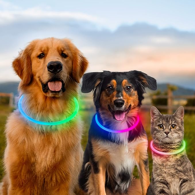 Light Up Dog Collars, Multi-Color USB Rechargeable Dlitk LED Dog Collar 1 Count, TPU Cuttable Size Glow Collar for Dogs, Dog Collar Light, Please Do Not Use Fast Charging (Blue+Pink)
