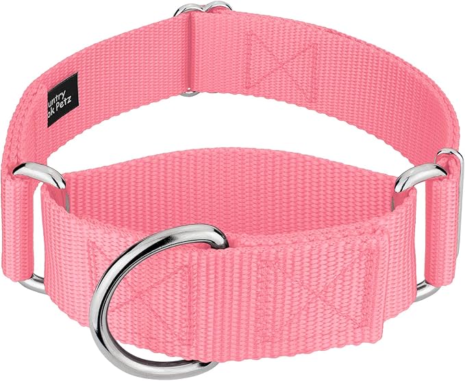 Country Brook Petz 1 1/2 Inch Martingale Heavy Duty Nylon Adjustable Dog Collar for Small, Medium, Large Breeds - Vibrant 17 Color Selection (Pink, Medium)