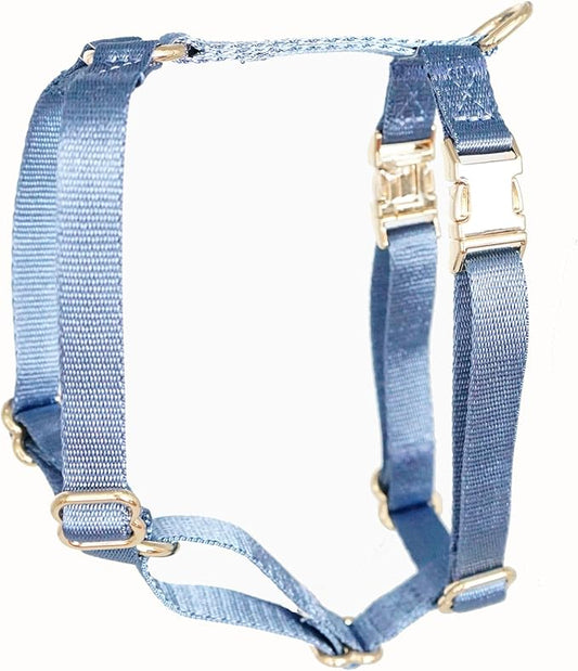 Nylon No Pull Dog Harness with Gold Metal Buckles,Easy Walking and Training Dog Harness (Air Blue, L)
