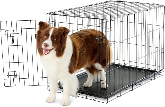 Carlson Pet Products Secure and Foldable Single Door Metal Dog Crate, Intermediate