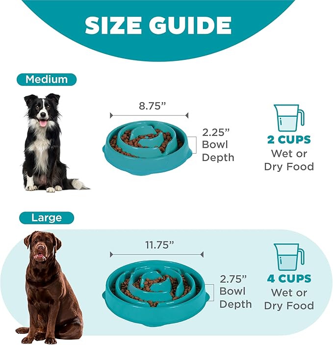 Outward Hound Fun Feeder Slo Bowl, Slow Feeder Dog Bowl, Large/Regular, Turquoise