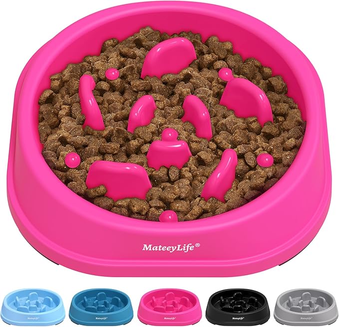 MateeyLife Small Slow Feeder Cat Bowls, Anti-Choking Puzzle Cat Food Bowls, Non Slip Interactive Dog Feeding Slow Down Eating, Bloat Stop Maze Dishes Dog Feeder for Small Breeds 1 Cup Purple