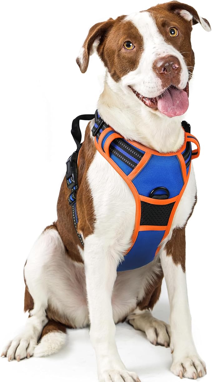 rabbitgoo Dog Harness, No-Pull Pet Harness with 2 Leash Clips, Adjustable Soft Padded Dog Vest, Reflective No-Choke Pet Oxford Vest with Easy Control Handle for Large Dogs, Blue & Orange, L