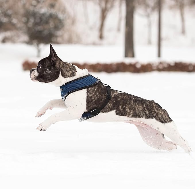 Puppia Soft Dog Harness No Choke Over-The-Head Triple Layered Breathable Mesh Adjustable Chest Belt and Quick-Release Buckle, Royal Blue, Large