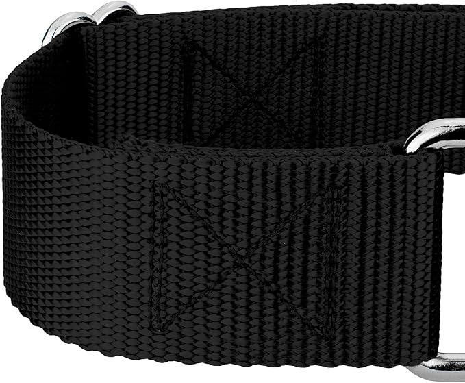 Country Brook Petz 1 1/2 Inch Martingale Heavy Duty Nylon Adjustable Dog Collar for Small, Medium, Large Breeds - Vibrant 17 Color Selection (Black, Large)