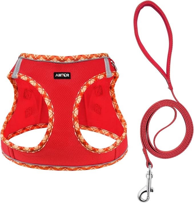 AMTOR Small Dog Harness with Leash Set, No Escape Easy Walk Puppy Harnesses for Training Walking, Step-in Reflective Soft Dogs Vest for XS S Medium Extra-Small Large Sized Dog(Red)