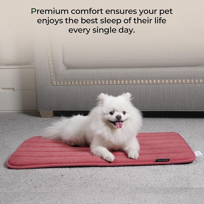 BALANCE Dog Crate Pad, Dog Foam Crate Mat Kennel Pad, Washable Pet Bed Flat Dog Cage Mat for Small Dogs