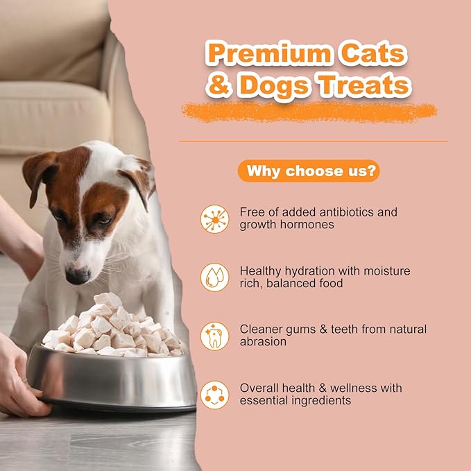 Freeze Dried Chicken Dog Treats - Raw Chicken Breast Cube High Protein Snacks for Training Healthy Limited Single Ingredient Grain Free Chicken Dices Easy Digest Pet Food (4 OZ)