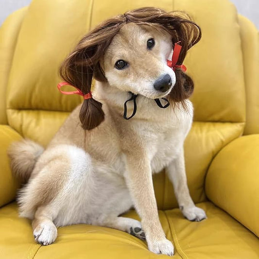 pet k9 Funny Dog Cosplay Wig, Headwear Apparel Toy,Pet Costumes, Cat Dress up for Halloween, Christmas, Parties, Festivals, Dog Wigs for Small Medium and Large Sized Dogs (Brown Braids)