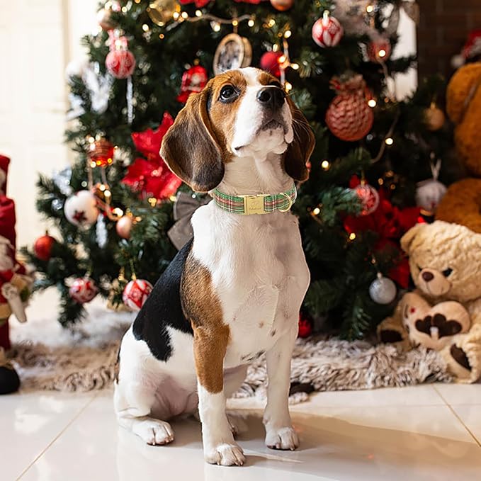 Christmas Dog Collars for Small Dog,Green Dog Collar with Safety Metal Buckle Adjustable Puppy Collars for Medium Large Dog,Boy&Girl&Male&Female Dog Gift,S-10-16"