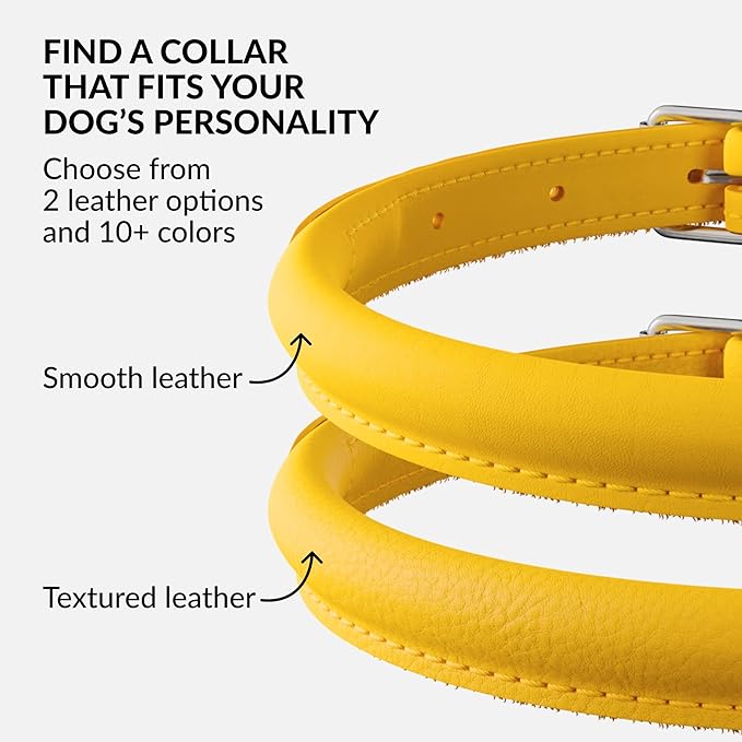 CollarDirect Rolled Leather Dog Collar, Soft Padded Round Puppy Collar, Handmade Genuine Leather Collar Dog Small Large Cat Collars 13 Colors (11-14 Inch, Yellow Smooth)