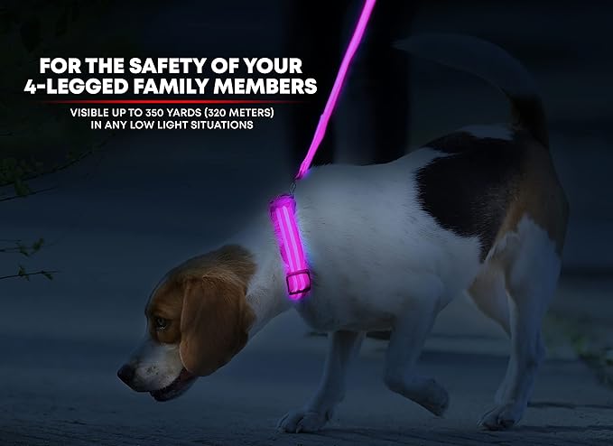 Illumiseen LED Dog Collar USB Rechargeable - Bright & High Visibility Lighted Glow Collar for Pet Night Walking - Weatherproof, in 6 Colors & 6 Sizes (Pink X-Large)