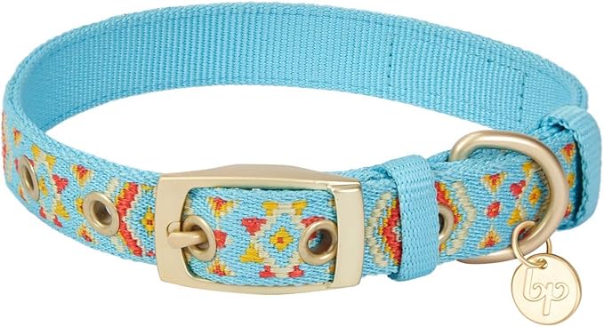Blueberry Pet 3 Patterns Southwestern Magical Tribal Print Celeste Blue Adjustable Dog Collar with Metal Buckle, Neck 17-20.5", for Large Breed