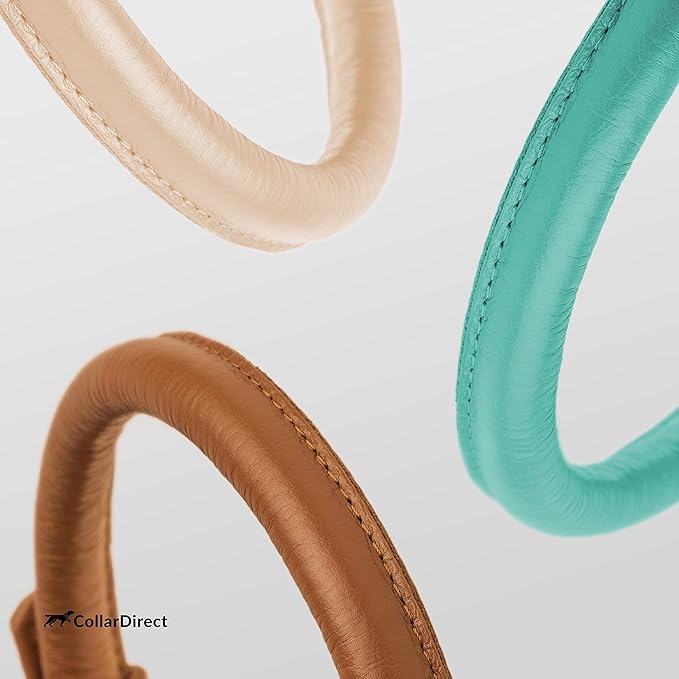 CollarDirect Rolled Leather Dog Collar, Soft Padded Round Puppy Collar, Handmade Genuine Leather Collar Dog Small Large Cat Collars 13 Colors (18-22 Inch, Mint Green Textured)