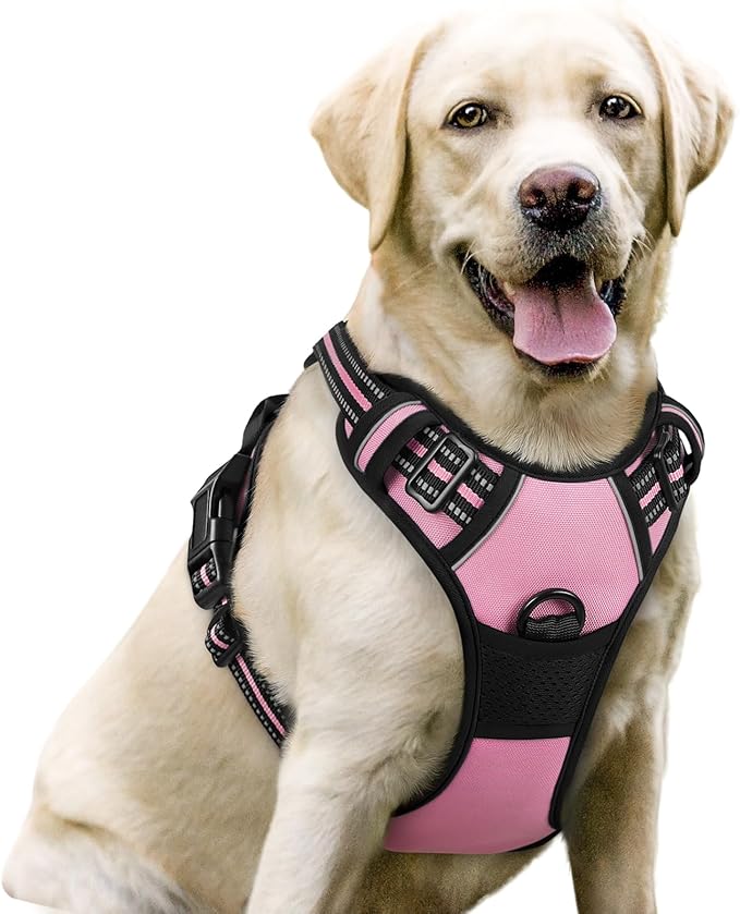 rabbitgoo No-Pull Pet Harness with 2 Leash Clips, Adjustable Soft Padded, Reflective No-Choke Pet Oxford Vest with Easy Control Handle for Large Dogs, Pink, L