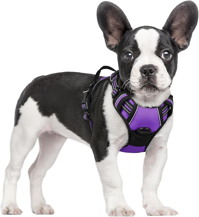 rabbitgoo Dog Harness, No-Pull Pet Harness with 2 Leash Clips, Adjustable Soft Padded Dog Vest, Reflective No-Choke Pet Oxford Vest with Easy Control Handle for Small Dogs, Purple, S
