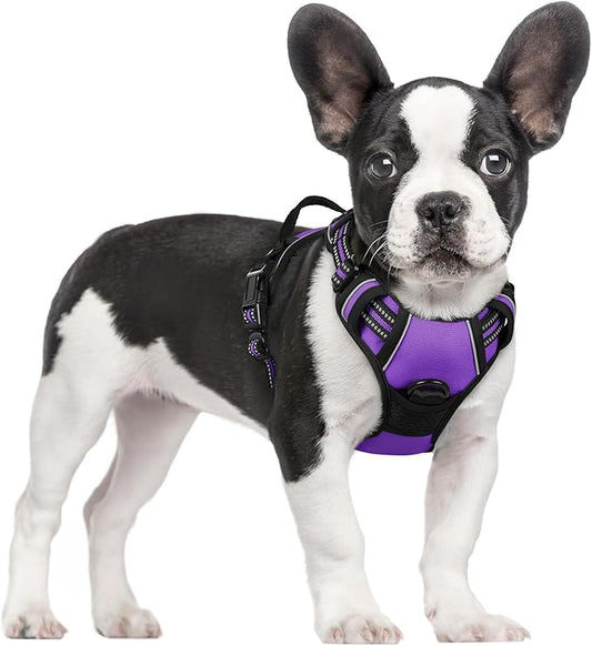 rabbitgoo Dog Harness, No-Pull Pet Harness with 2 Leash Clips, Adjustable Soft Padded Dog Vest, Reflective No-Choke Pet Oxford Vest with Easy Control Handle for Small Dogs, Purple, S