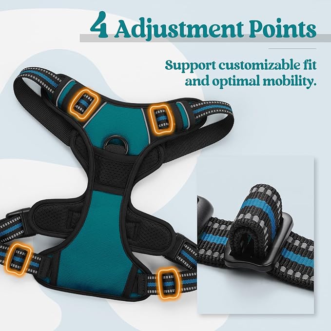 rabbitgoo Dog Harness, No-Pull Pet Harness with 2 Leash Clips, Adjustable Soft Padded Dog Vest, Reflective No-Choke Pet Oxford Vest with Easy Control Handle for Small Dogs, Blue Coral, S