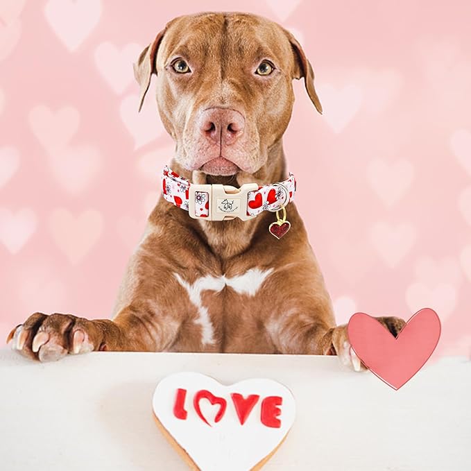 Elegant little tail Valentine's Day Dog Collar-Cute Pink Heart Dog Collar for Small Dogs, Female or Male Adjustable Cotton Pet Collar with Quick Release Buckle for Small Medium Large Dogs