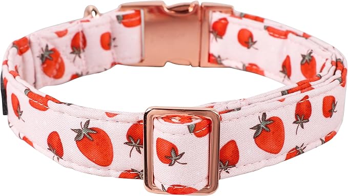 Lionet Paws Dog Collar, Comfortable Adjustable Cute Collar with Metal Buckle for Male Female Puppies and Cats Gift, Strawberry Pattern, XS, Neck 8-12 inches