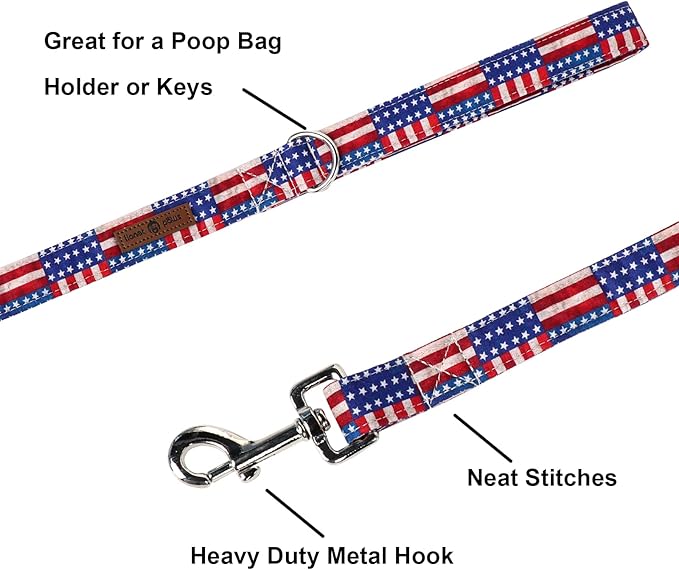 Lionet Paws Patriotic 4th of July American Flag Dog Leash Matching Dog Collar for Small Medium Large Dog