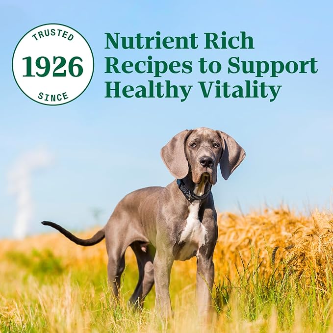 NUTRO NATURAL CHOICE Large Breed Puppy Dry Dog Food, Lamb & Brown Rice Recipe Dog Kibble, 30 lb. Bag