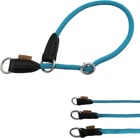 Braided Rope Collar, Pro Training Dog Collar, No Pull Round Martingale Collar, Slip Collar with Slidable Stop Ring - Ideal for Extra Small Dogs (XS (1/4") - 14" Long, Light Blue)
