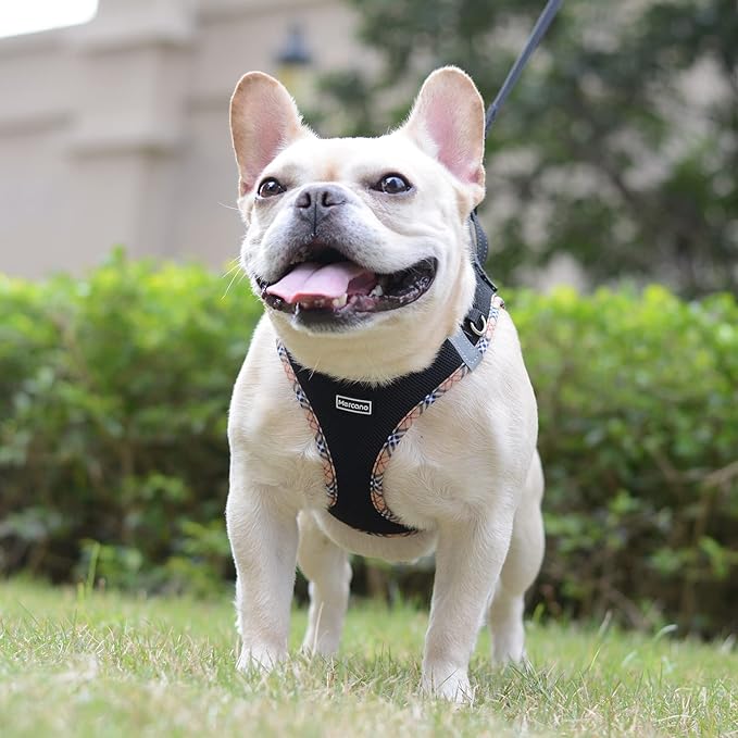 Mercano Soft Mesh Dog Harness and Leash Set, No-Chock Step-in Reflective Breathable Lightweight Easy Walk Escape Proof Vest Harnesses with Safety Buckle for Small Medium Dogs, Cats (Black Yellow, L)