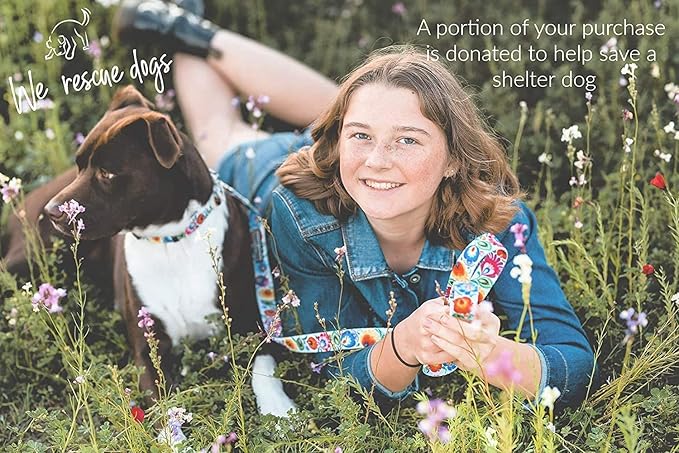 Lucky Love Dog Martingale Dog Collar - Adjustable, No-Slip, Durable, & Soft Webbing Dog Collar for Male and Female Dogs Ideal for Training & Walking - Stylish Ladybird Pattern, Medium Size