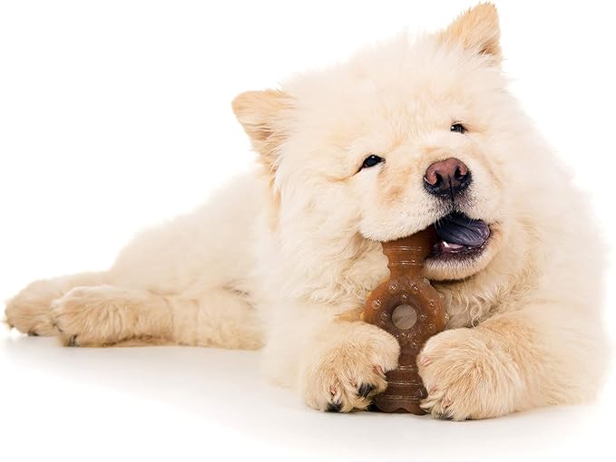 Nylabone Puppy Ring Bone Chew Toy - Puppy Chew Toys for Teething - Puppy Supplies - Chicken Flavor, Medium/Wolf (1 Count)