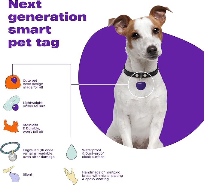 Premium QR Code Dog Tag - Smart Pet ID Tags for Dogs - Scan Dog ID Tag for Instant Location Alert & Modifiable Pet Profile - Dog Tags Personalized for Pets with Dog Training App (Blue)