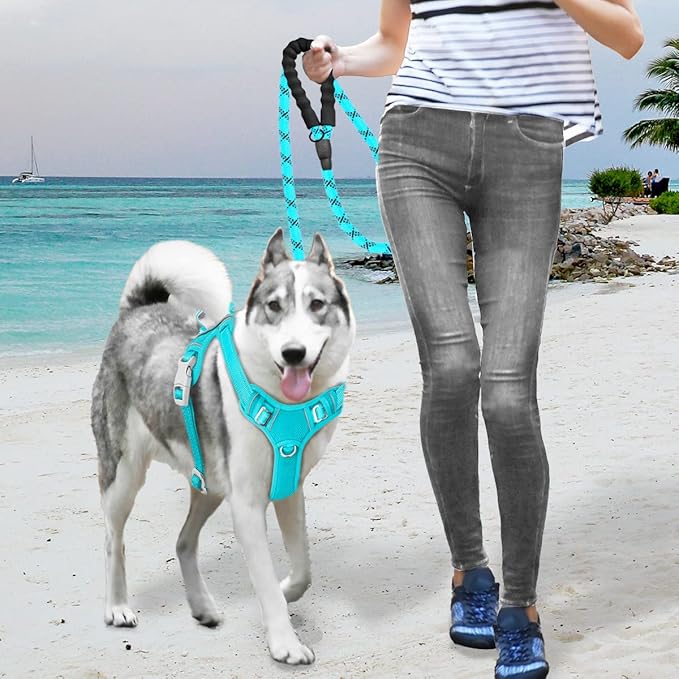 BARKBAY No Pull Dog Harness Large Reflective Dog Harness with Front Clip and Easy Control Handle for Walking Training Running with ID tag Pocket(Ocean Blue,S)