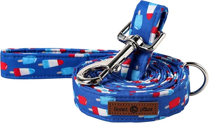 Lionet Paws Patriotic 4th of July American Flag Dog Leash Matching Dog Collar for Small Medium Large Dog