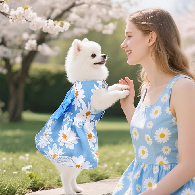 choyaxo Floral Dog Dress Cute Dog Skirt Pet Dress Summer Pet Clothes for Puppy Small Cats