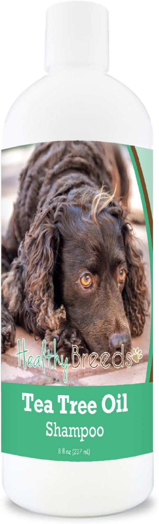 Healthy Breeds American Water Spaniel Tea Tree Oil Shampoo – Formulated for Dry, Irritated Skin – Reduce Dandruff – Wintergreen Scent – 8 oz