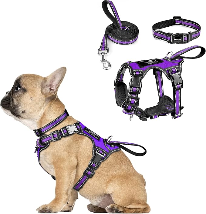 WINSEE Pet Harness Collar and Leash Set, All-in-one Reflective Dog Harness No Pull with Adjustable Buckles for Puppies, Small, Medium, Large, and Extra-Large Dogs (Small, Purple)