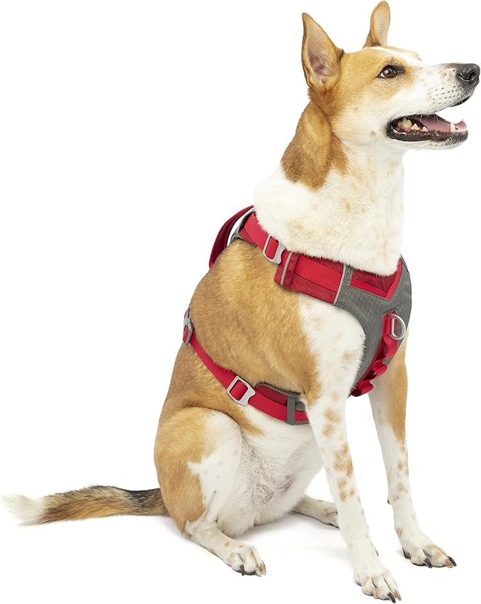Kurgo Journey Air Dog Harness, Vest Harnesses for Dogs, Pet Hiking Harness for Running & Walking, Reflective, Padded, Includes Control Handle, No Pull Front Clip (Red, Large)