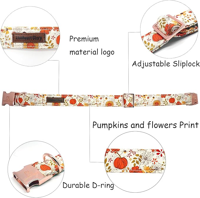 Lionheart glory Dog Collar Halloween Collar Dog Fall Dog Collars, Adjustable Heavy Duty Dog Collar for Large Dogs Pumpkin Collar Dog