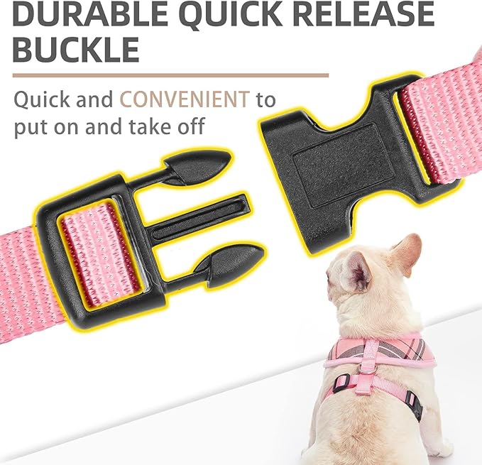 PUPTECK Soft Mesh Dog Harness and Leash Set Pet Puppy Cat Comfort Padded Vest No Pull Harnesses, Light Pink, L
