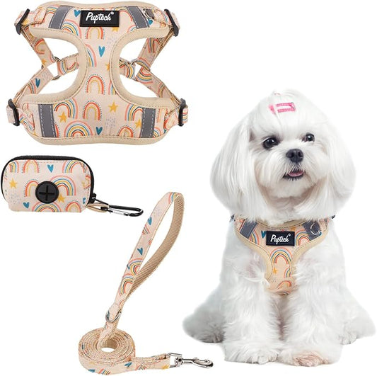 PUPTECK No Pull Dog Harness and Leash Set Reflective No Choke Step in Puppy Halter for XS Small and Medium Sized Dogs, Beige, Printed Fabric, XS